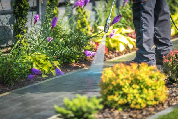 Best Spring Cleaning  in Portola Valley, CA
