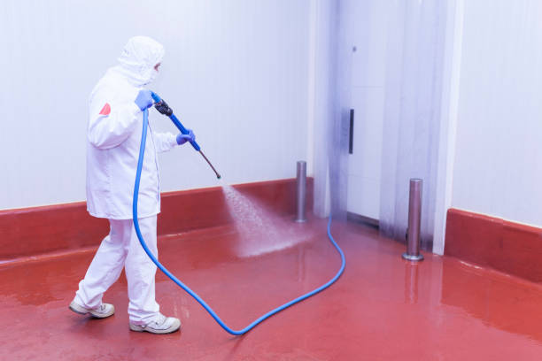 Best Paint Preparation  in Portola Valley, CA